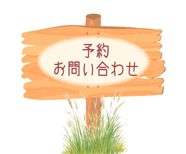 予約、お問い合わせ